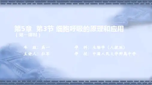 人教版高一生物必修1 第3节 细胞呼吸的原理和应用(第二课时)-课件