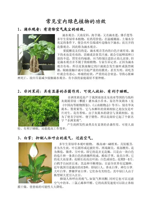 18种常见室内绿色植物的功效