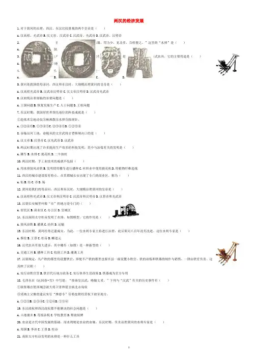 【全国通用】2020中考历史专项练习：两汉的经济发展_含解析
