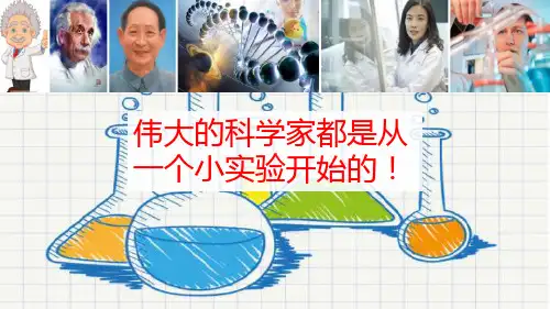 习作 我做了一项小实验 课件(10张ppt)