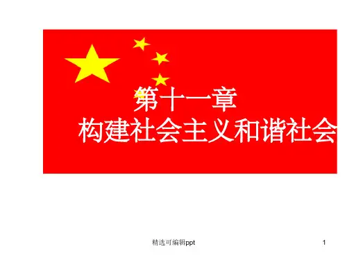 毛概第11章课件