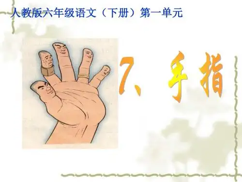 5《手指》精品课件(完美版)