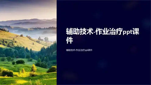 辅助技术-作业治疗课件