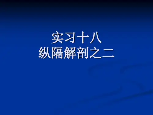 纵隔解剖 PPT课件