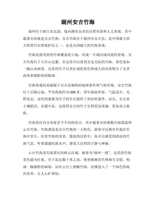 湖州安吉竹海