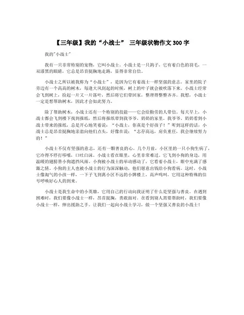 【三年级】我的“小战士” 三年级状物作文300字