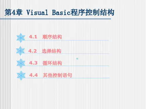 第4章VisualBasic程序控制结构