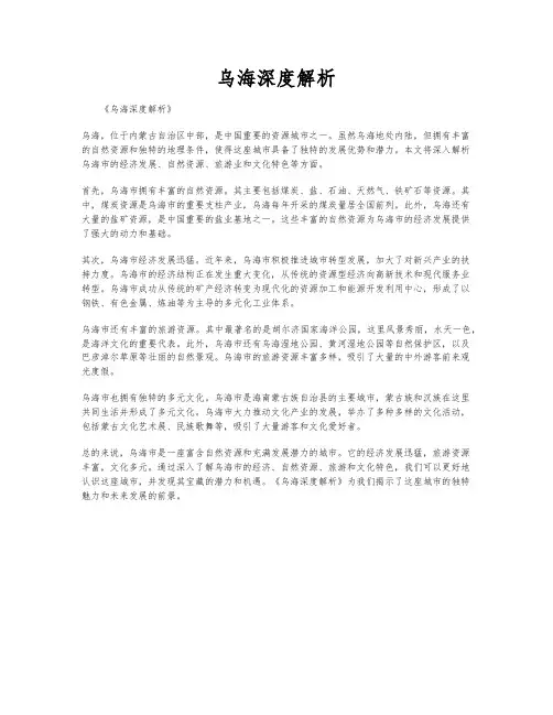 乌海深度解析