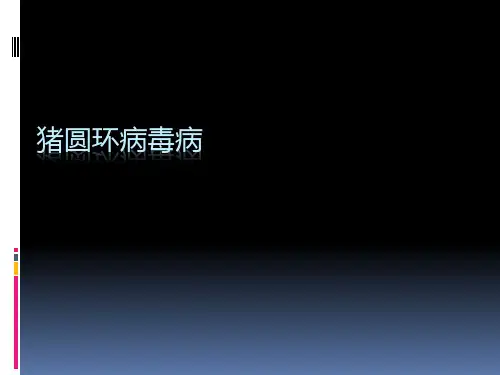 猪圆环病毒病PPT课件