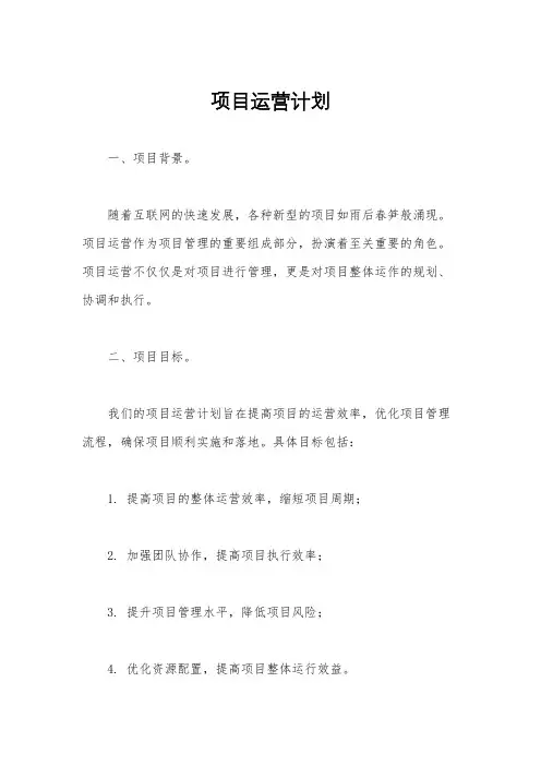项目运营计划