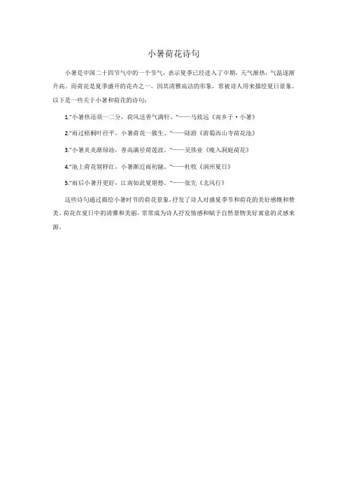小暑 荷花诗句