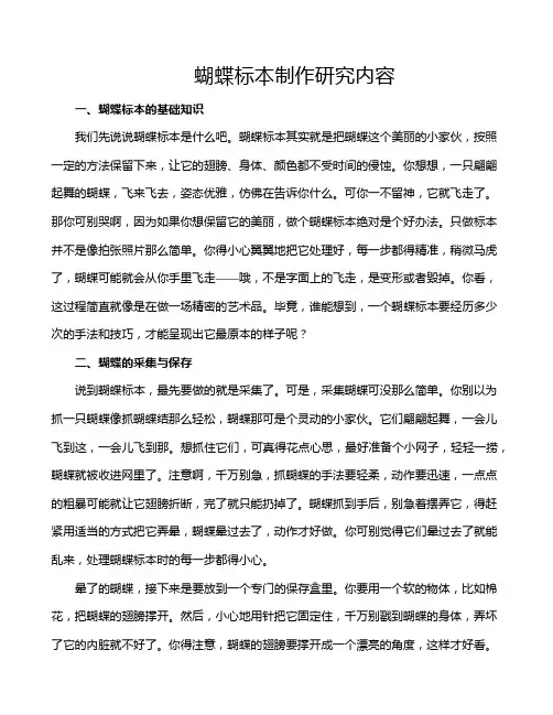 蝴蝶标本制作研究内容