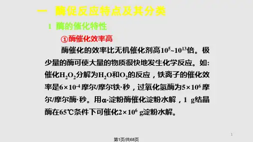 酶学PPT课件