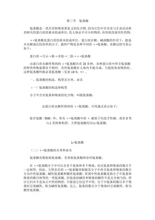 氨基酸概述