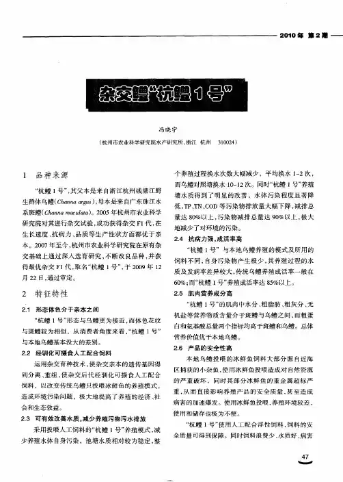 杂交鳢“杭鳢1号”