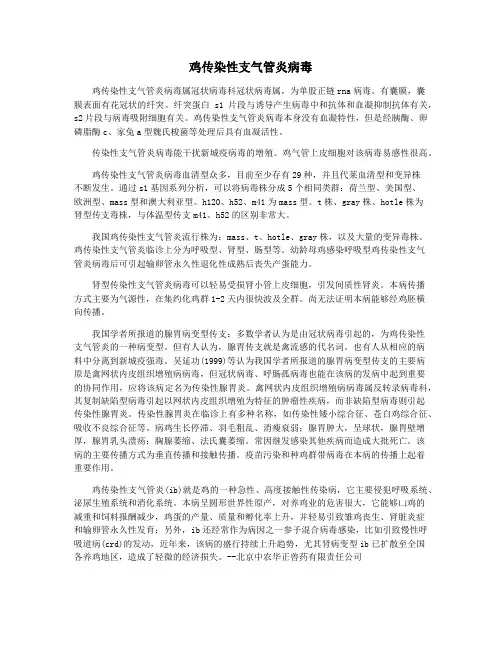 鸡传染性支气管炎病毒