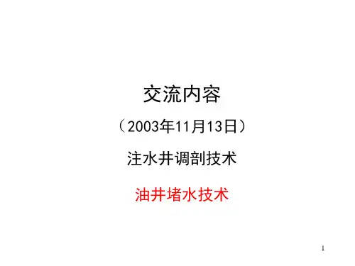 注水井调剖技术油井堵水技术