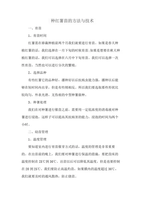 种红薯苗的方法与技术