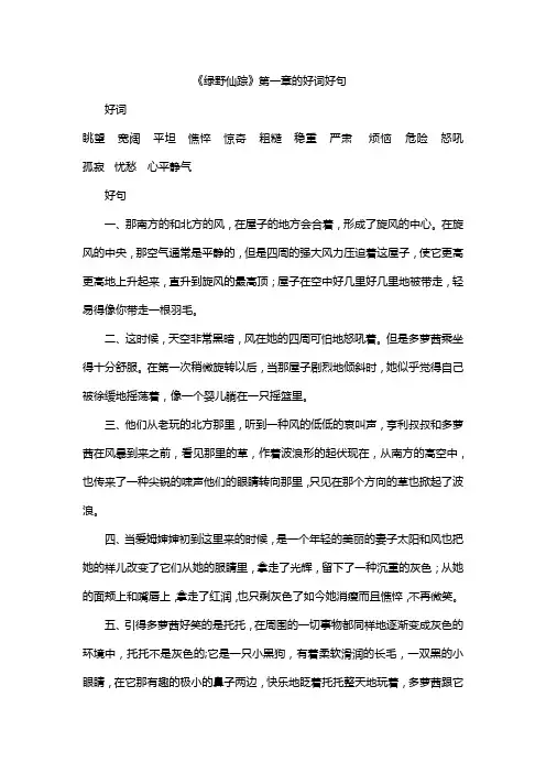 《绿野仙踪》第一章的好词好句
