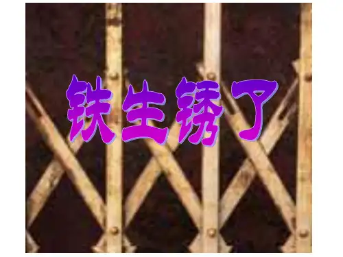 小学科学六下《2.5、铁生锈了》PPT课件