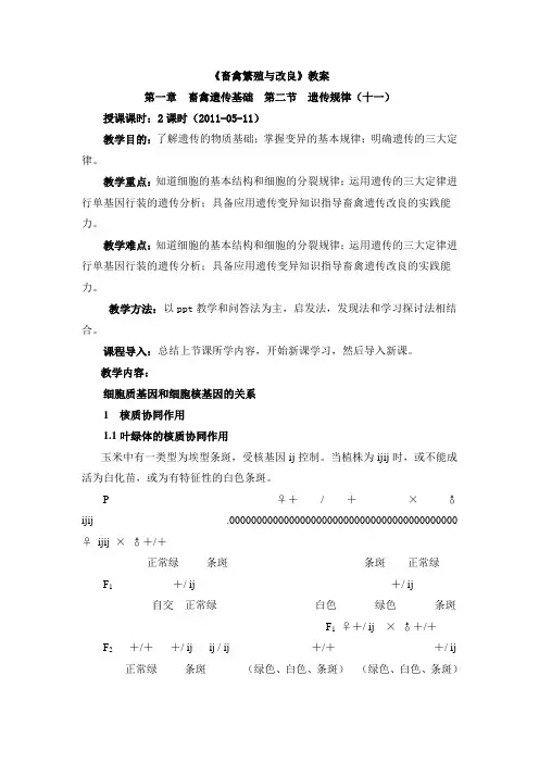 畜禽繁殖与改良5-11