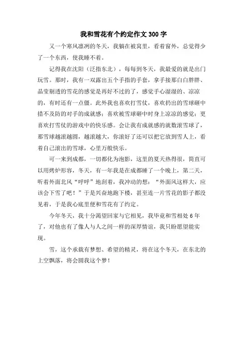 我和雪花有个约定作文300字
