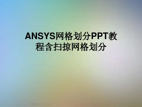 ANSYS网格划分PPT教程含扫掠网格划分