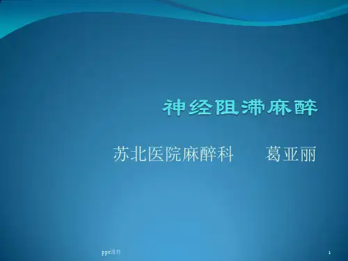 神经阻滞麻醉  ppt课件