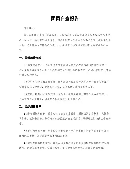 团员自查报告