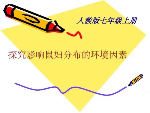 探究影响鼠妇分布的环境因素 说课课件