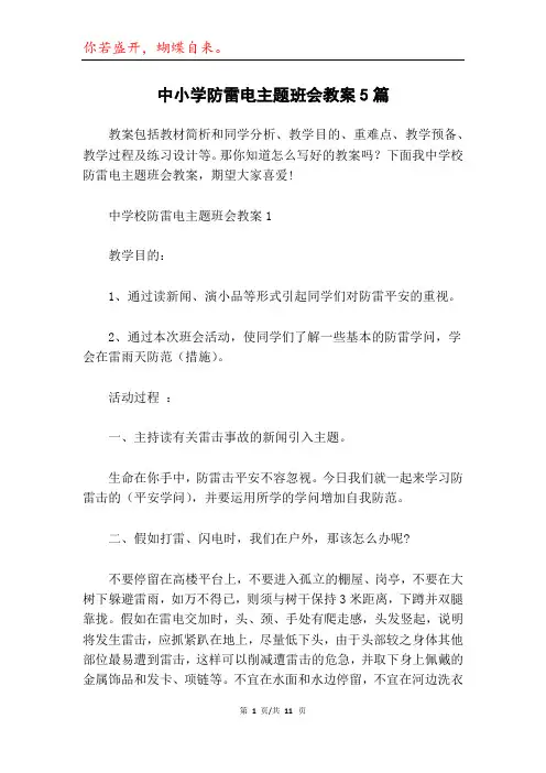 中小学防雷电主题班会教案5篇