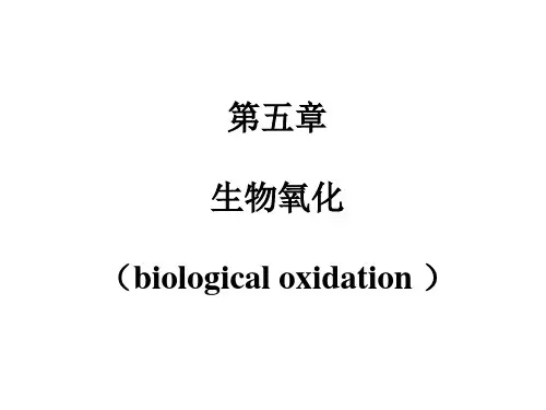 生物化学课件(杨洋)6-生物氧化-lg