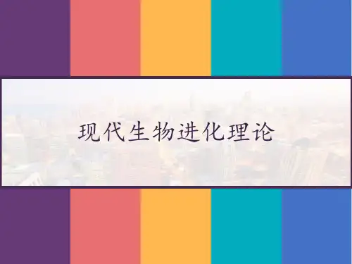 现代生物进化理论 PPT