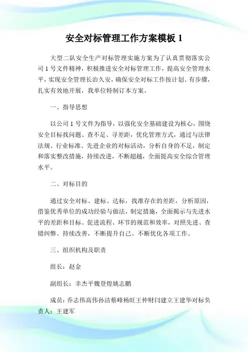 安全对标管理工作方案模板1.doc