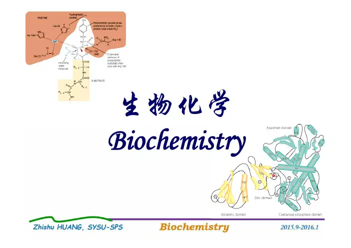 生物化学：第一章 绪论(1周1-3节) 
