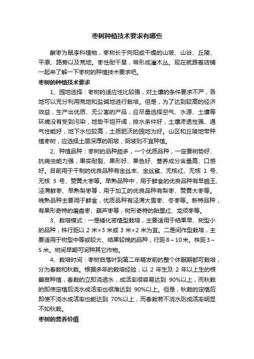 枣树种植技术要求有哪些
