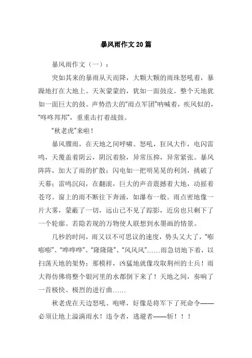 暴风雨作文20篇
