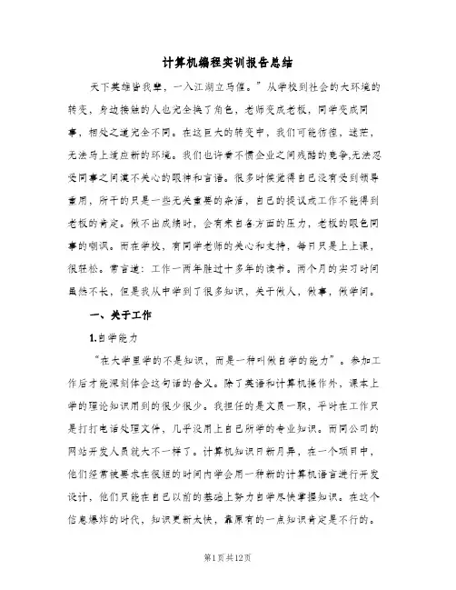 计算机编程实训报告总结（4篇）