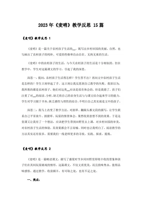 2023年《麦哨》教学反思 15篇_1