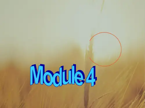 外研版高中英语必修三课件：Module4 Sandstorms in Asia Grammar 精品
