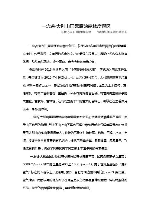 一念谷·大别山国际原始森林度假区