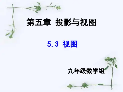 北师大版九上数学第五章投影与视图课件