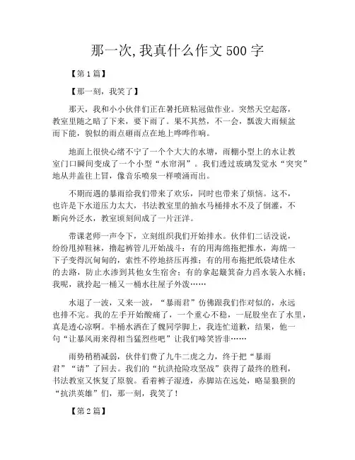 那一次,我真什么作文500字
