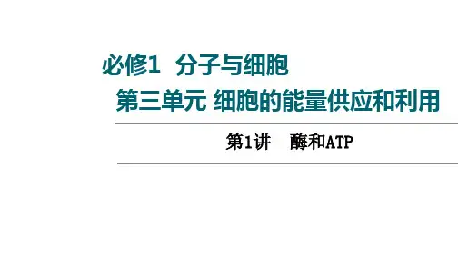 高三一轮复习老高考人教版生物第3单元第1讲 酶和ATP课件