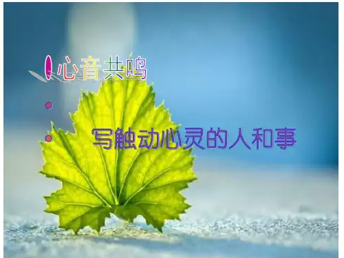 人教版(新课程标准)必修一表达交流《心音共鸣——写触动心灵的人和事》课件