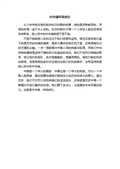 中华魂伴我成长