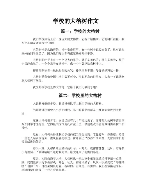 学校的大榕树作文