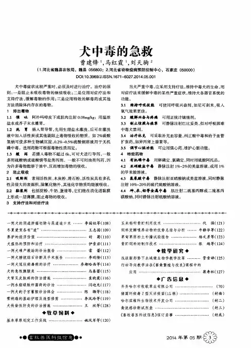 犬中毒的急救