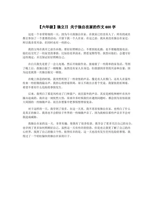 【六年级】独立日 关于独自在家的作文600字