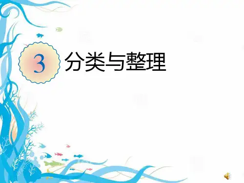 《分类与整理》 公开课获奖课件